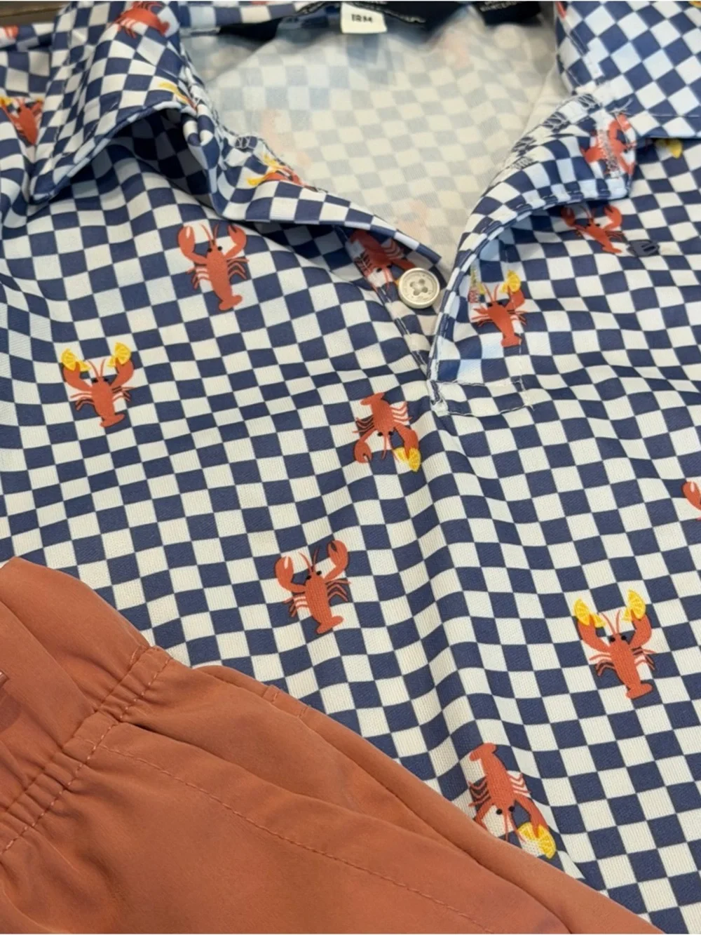 Ben Sherman Toddler Boys 18M Lobster‎ Checkered Polo Shirt and Coral Shorts Set